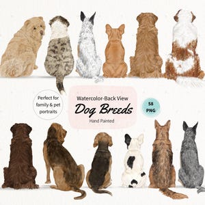Aquarel achteraanzicht honden, png PNGEgg | Clipart huisdierportret maken | Aangepaste hondillustratie | 9 rassen