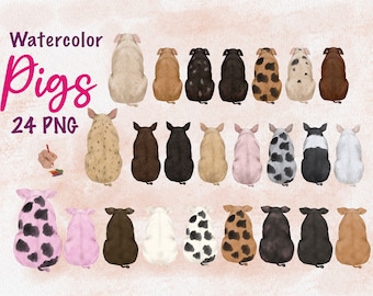 Pig Clipart. Watercolor Pig Illustrations. Pig Breeds Graphic. Pig png. Printable pig. Pigs From Back View. Pig art. Family member.