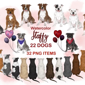 Staffordshire Bull Terrier Clipart. Aquarela Staffy. Presente de mãe Staffy. Criador de retratos gráficos de cartão-presente. Cães sentados na retaguarda. Arte Staffy