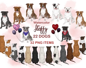 Staffordshire Bull Terrier Clipart. Watercolor Staffy. Staffy mom gift. Gift Card Graphics Portrait Creator. Rear Sitting Dogs. Staffy art