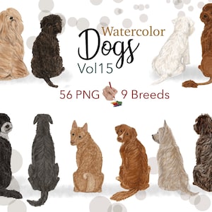 Watercolor dog clipart, Customizable dog graphics. Portrait creator. Schipperke. Cairn Terrier. Portuguese Water Dog