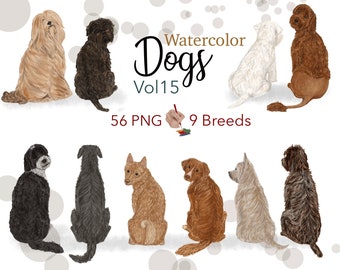 May include: Watercolor illustrations of 9 different dog breeds, including a poodle, a golden retriever, a terrier, and a husky. The illustrations are in a watercolor style and are perfect for use in digital scrapbooking, card making, and other craft projects.  56 PNG files included.  Watercolor Dogs Vol 15.