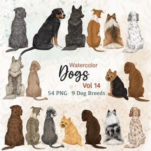 Clipart de races de chiens à l'aquarelle. Clipart dos de chien. Lévrier italien png. Lot chien assis png. Clipart sheltie. Clipart Setter anglais.