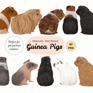 Watercolor Guinea Pig Clipart. Hand painted Cavy Png. Back view Guinea Pigs. Pet Portrait Clipart Set. Portrait Creator. POD Clipart.