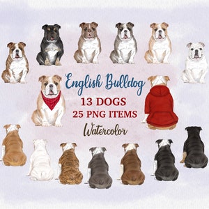 Clipart bouledogue anglais. Illustration de chien à l'aquarelle. Graphiques personnalisables de chien. Créateur de portraits. Chiens assis. Portraits à faire soi-même. Chien pour Mug