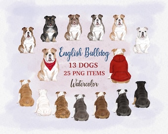 English Bulldog Clipart. Watercolor Dog illustration. Customizable Dog Graphics. Portrait Creator. Sitting Dogs. DIY Portraits. Dog for Mug