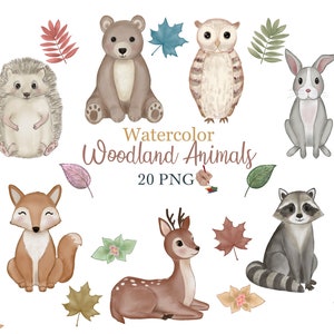 Animaux d'automne à l'aquarelle. Sublimation pour chambre d'enfant. Graphismes pour bébés. Clipart ours mignon. Raton laveur mignon. Hérisson png