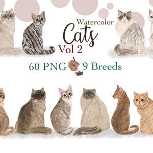 Aquarell KATZE CLIPART. Kundengerechte Katzenrassen. Katzen sitzen zurück. Katzenliebhaber Geschenk. Kätzchen Graphisch. Katzen für DIY Portrait