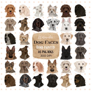 Clipart di faccia di cane dell'acquerello. Ritratto di animale domestico. Razze di cani. Amici pelosi. Illustrazione del cucciolo dipinta a mano. Clipart per gli amanti dei cani. Faccia di animale png