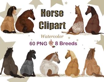 Watercolor HORSE CLIPART. Horse Breeds Bundle. Horse Portrait. Customizable Horses. Horse illustration. Arabian Horse. Thoroughbreds graphic