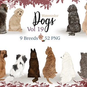 Aquarelle CHIEN CLIPART. Illustrations de chien assis. Cadeau png pour les amoureux des chiens. Illustration de chien à l'aquarelle. Lot races de chiens. Spitz japonais PNG