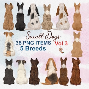 Clipart de perro pequeño. Perros de espaldas. Gráficos personalizables para perros. Regalo para amantes de los perros. Elementos para retratos DIY. Clipart POD. Diseño de retratos.