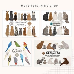 May include: A collection of watercolor pet clipart sets. The image features illustrations of various dog breeds, cats, birds, and other small animals. The text includes "15 Most Popular Dog Breeds", "Cats Clipart", "Birds", and "Pet Clipart Set".