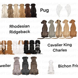 May include: Illustration of various dog breeds, including Pugs, Rhodesian Ridgebacks, Cavalier King Charles, Rottweilers, and Bichon Frise. Each dog is depicted from the rear, showcasing different coat colors and patterns. The image includes white angel wings.