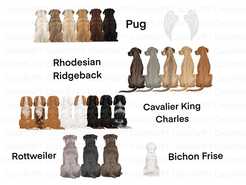 May include: Illustration of various dog breeds, including Pugs, Rhodesian Ridgebacks, Cavalier King Charles, Rottweilers, and Bichon Frise. Each dog is depicted from the rear, showcasing different coat colors and patterns. The image includes white angel wings.