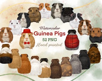 Watercolor Guinea Pig Clipart, Hand-Painted Illustrations (PNG Files)