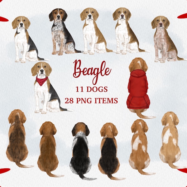 Clipart Beagle aquarelle. Graphiques personnalisables de chien. Cadeau pour les amateurs de beagle. Portrait d'animal de compagnie personnalisé. Portrait bricolage de chien. Créateur de portraits