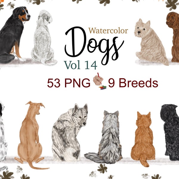 Watercolor dog breeds clipart. Personalized pet. Dog sublimation. Dog lovers gift png. Sitting back Puppy Images. English Setter Graphic