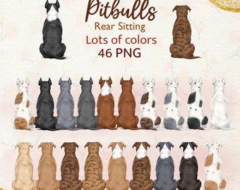 Watercolor Pitbull Clipart. Pitbull back clipart. Rear Sitting Pitbull Png. Pitbull color options. Family Members. Portrait Creator.