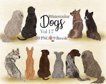 May include: Watercolor illustrations of 9 different dog breeds, all sitting and facing away from the viewer. The dogs are in various colors and patterns, including brown, black, white, and gray. The image is titled "Watercolor Dogs Vol 17" and includes the text "59 PNG 9 Breeds".