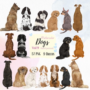 Lot de races de chiens png. Clipart chien assis. Dos de chien png. Épagneul Springer Clip art. Chien boxer png. Clipart Cavalier King Charles. Akita png
