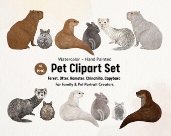 Hand Painted Watercolor Pet Clipart Set, Ferret, Otter, Hamster, Chinchilla, Capybara (41 PNG)
