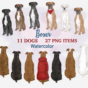 Clipart chien boxer. Illustration de chien à l'aquarelle. Utilisation commerciale. Clipart bricolage portrait. Chiens personnalisés. Cadeau boxer pour maman. Mémorial du chien boxer
