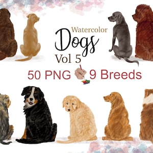 Aquarell Hund Clipart, Hund Sublimation. Druckbare Hund Bild. Personalisierte Hundegrafik. Hunde Illustration. Weimaraner png