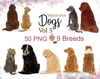 May include: Watercolor illustrations of nine different dog breeds, including a Bernese Mountain Dog, a Golden Retriever, and a Collie. The dogs are all sitting and facing to the right. The text "Watercolor Dogs Vol 5" and "50 PNG 9 Breeds" is displayed below the dogs.