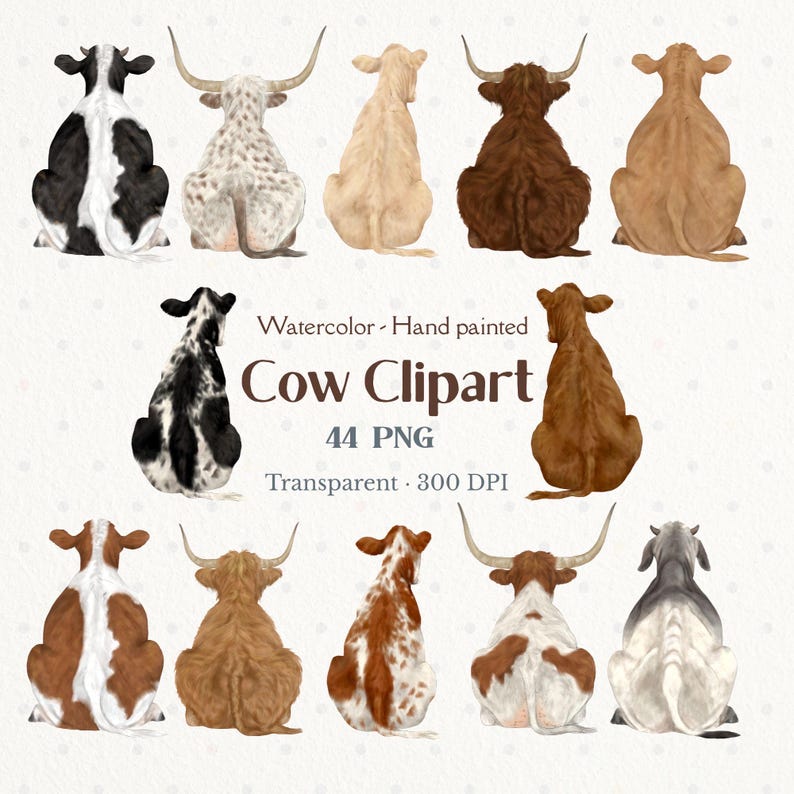 Watercolor Cow Clipart Bundle: Farmhouse Style PNGs (44 Files) image 1