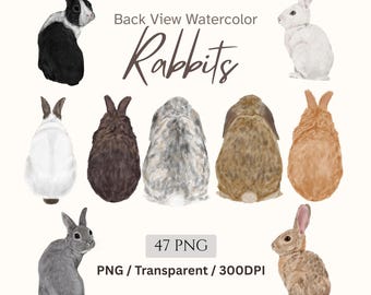 Watercolor Rabbit Clipart, Back View Bunny PNG, Animal Illustration, Easter Graphics, 47 Files (Digital Download)