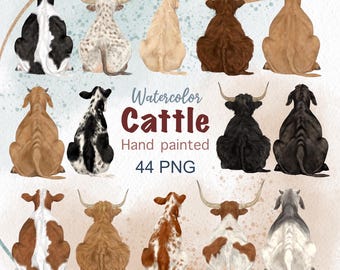 Watercolor Cow Clipart. Cow and Bull Graphics. Cow Breeds png. Types of cow chart. Country png. Cowboy png. sitting Cows. Dairy cow clip art