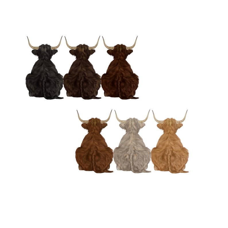 May include: Six Highland cattle, also known as Scottish Highland cattle, are sitting in a row. The cattle are facing away from the viewer. The cattle are black, brown, gray, and orange.