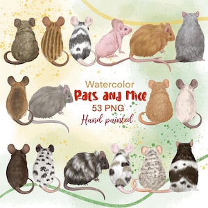 Imágenes prediseñadas de ratón de acuarela. Imágenes prediseñadas de rata mascota. Ilustración de ratones lindos. Imágenes prediseñadas de ratón elegante. Miembros de la familia. Elementos para retratos familiares. Imágenes prediseñadas de roedores