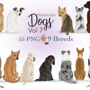 CLIPART CANE ad acquerello. Cani da dietro. Grafica personalizzabile per cani. Regalo per amanti dei cani. Elementi ritratto fai da te. Clipart Yorkie.