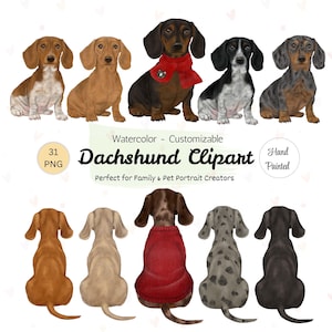 May include: Watercolor dachshund clipart featuring various dog breeds in different colors and patterns. The image includes front and back views of the dogs, with some wearing sweaters or scarves. Text includes "Dachshund Clipart" and "Hand Painted."