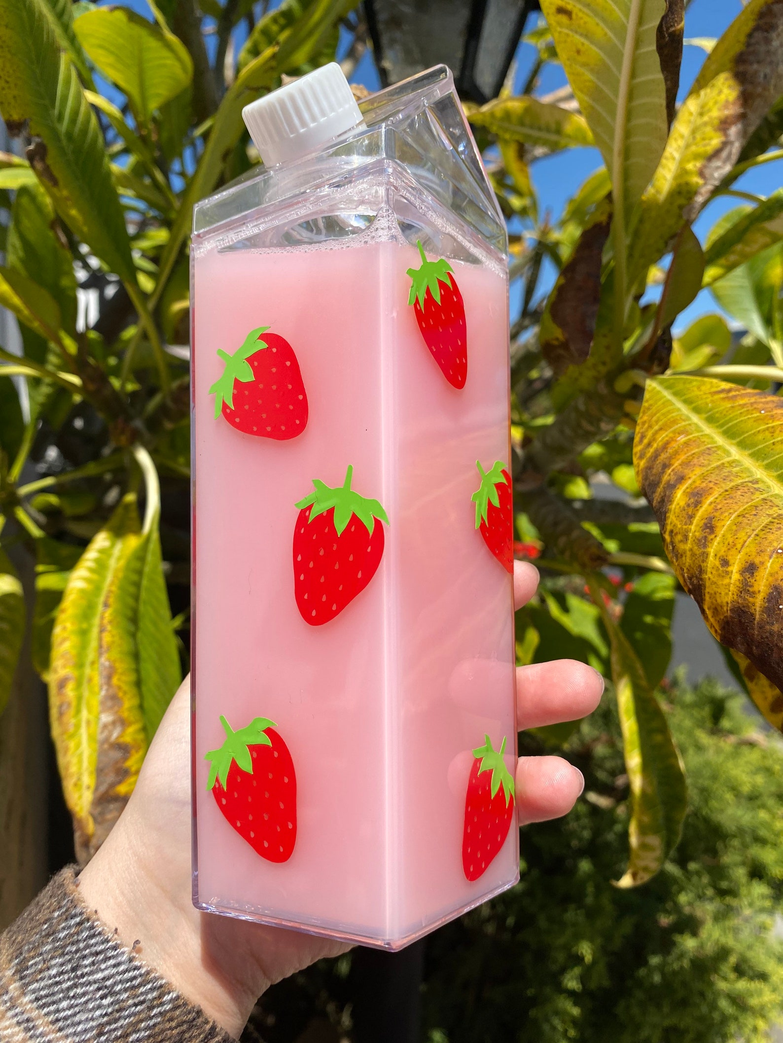 Strawberry Milk Carton Water Bottle | Etsy