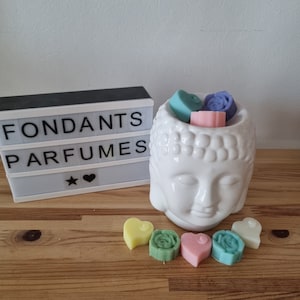 Fondants parfumés pour brûle parfum formes aléatoires