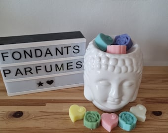 Fondants parfumés pour brûle parfum formes aléatoires