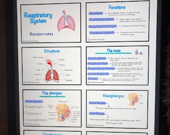 Respiratory System Flashcards [Digital Copy]