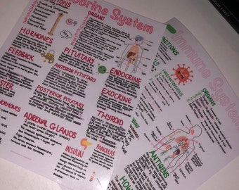 Immune System Revision Poster - Etsy UK