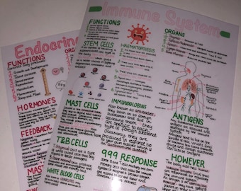 Immune System Revision Poster