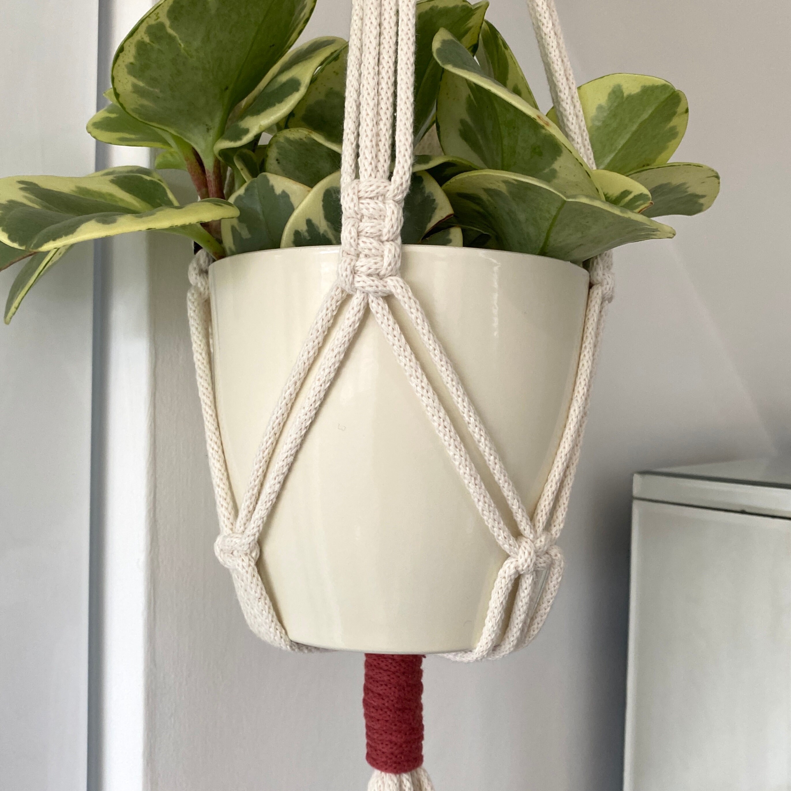 Two Toned Macrame Hanging Basket with Wooden Ring Pink Etsy