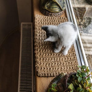 May include: A small white and gray kitten stands on a rectangular, tan-colored woven jute mat. The mat is positioned on a wooden windowsill next to a white radiator and two dark-colored ceramic planters containing green leafy plants.