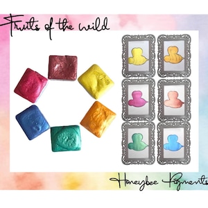 May include: A set of eight watercolour paint pans in a rainbow of colours, including red, orange, yellow, green, blue, indigo, and violet. The paint pans are arranged in a circle on a white background. The text "Fruits of the Wild" is written in black above the paint pans. The text "Honeybee Pigments" is written in black below the paint pans.