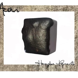 Acorn | Brown Shimmer Watercolour paint | Honeybee Pigments | Calligraphy Ink | Hand Lettering | Artist supplies | Handmade Watercolour