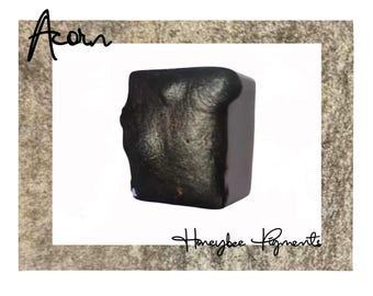 Ekollon | Brun skimrande akvarellfärg | Honungsbinpigment | Kalligrafitjock | Handskrift | Konstnärsmaterial | Handgjord akvarell