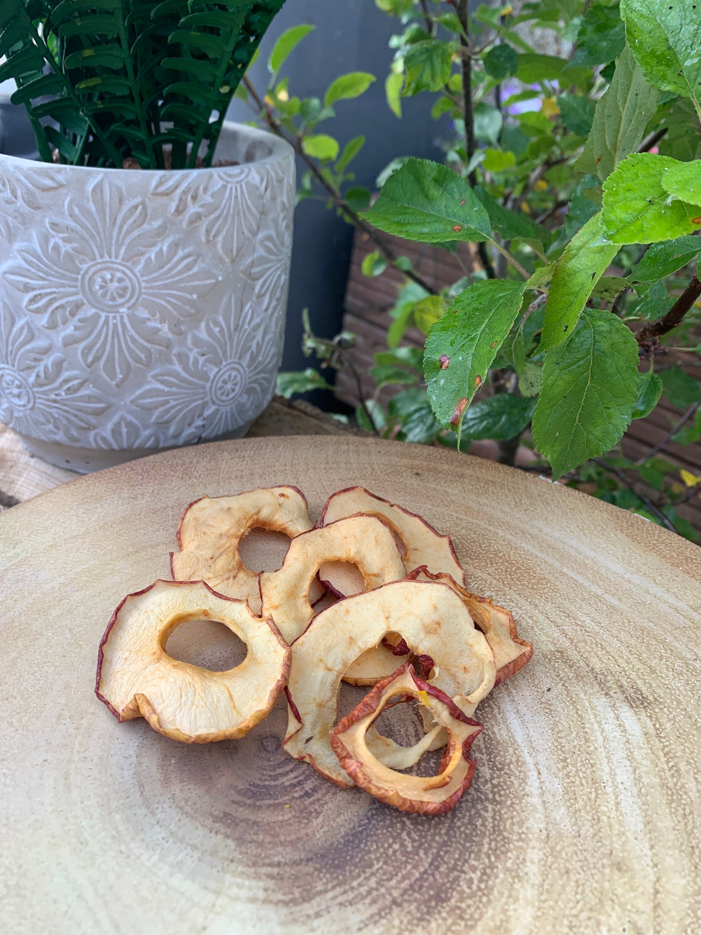 Dried apple rings Etsy