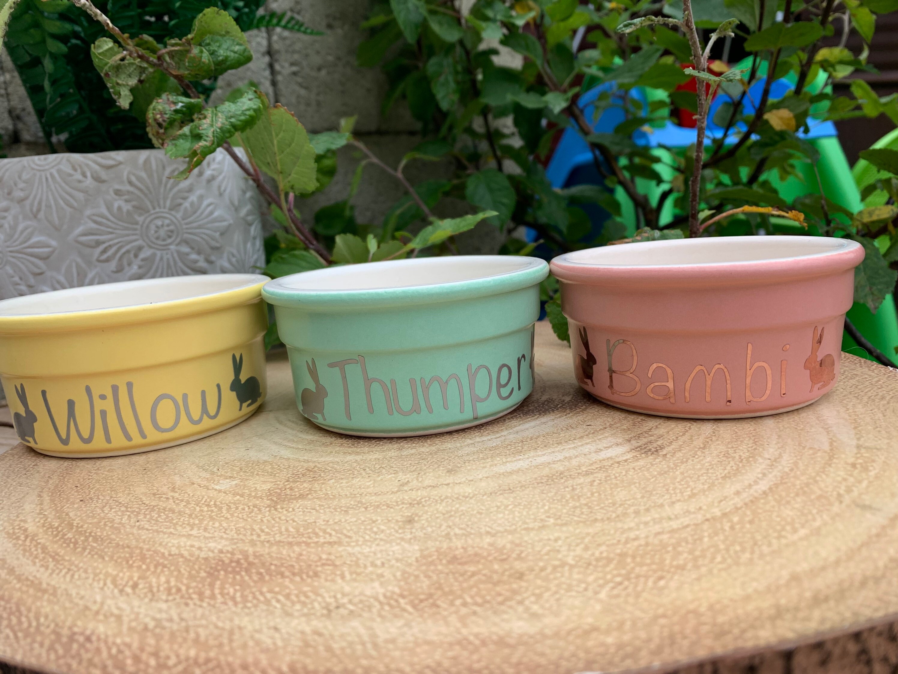 Personalised rabbit bowls Etsy