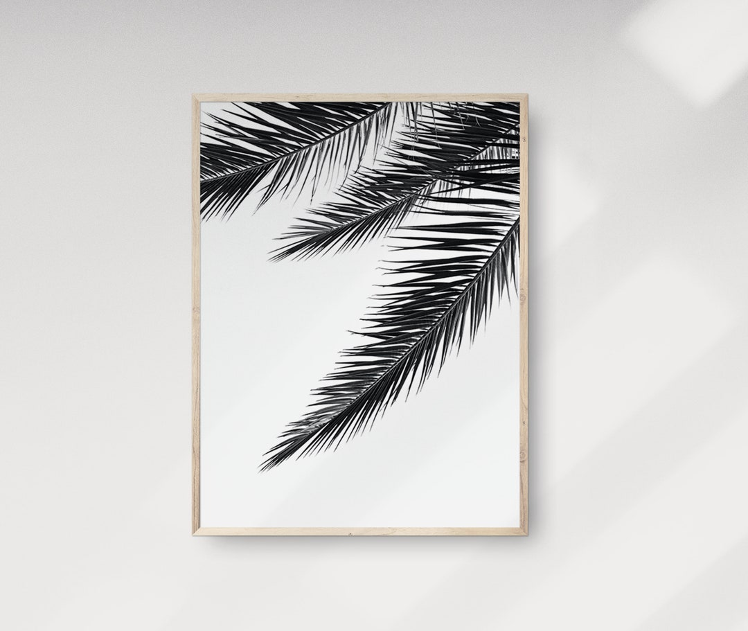 Palm Tree Photography Wall Art Contemporary Photography Etsy